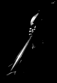 John B Williams